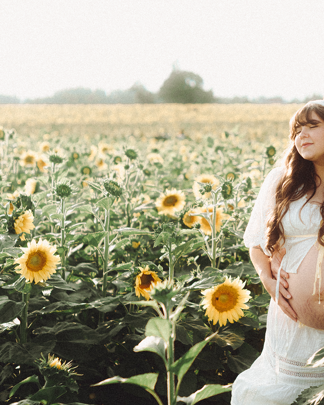 Lovestory Pregnancy Announcement Among the Sunflowers of the Wooden Shoe Tulip Farm — photograph 7 of 39